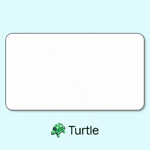 Turtle gallery preview 1